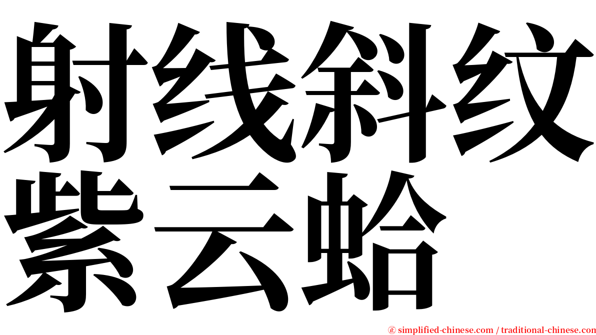 射线斜纹紫云蛤 serif font