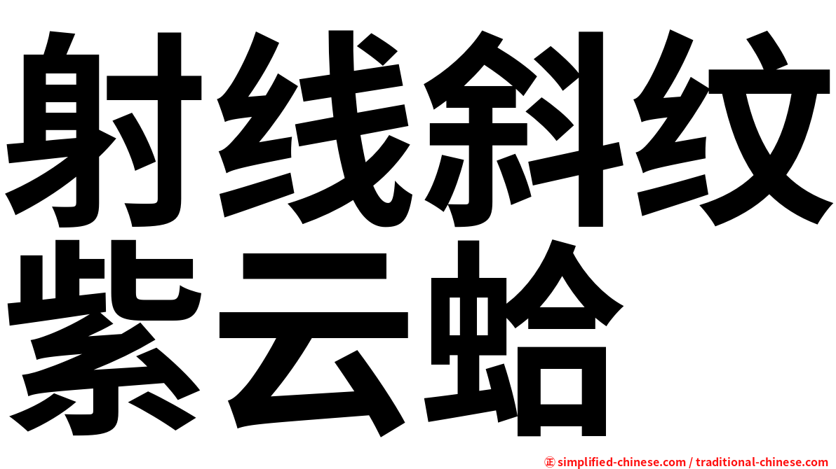 射线斜纹紫云蛤