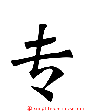专