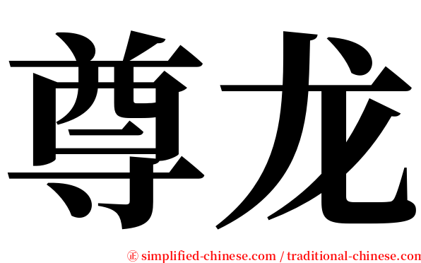 尊龙 serif font