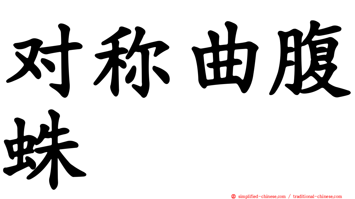 对称曲腹蛛