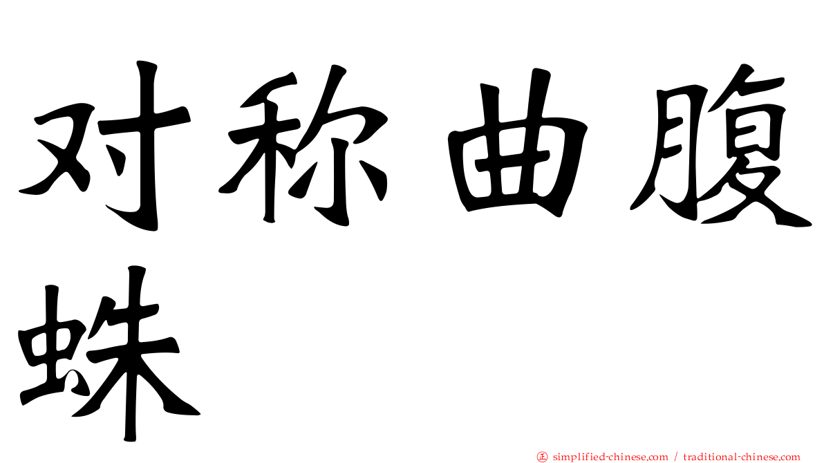 对称曲腹蛛