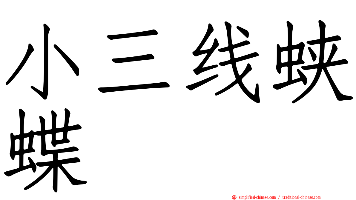 小三线蛱蝶
