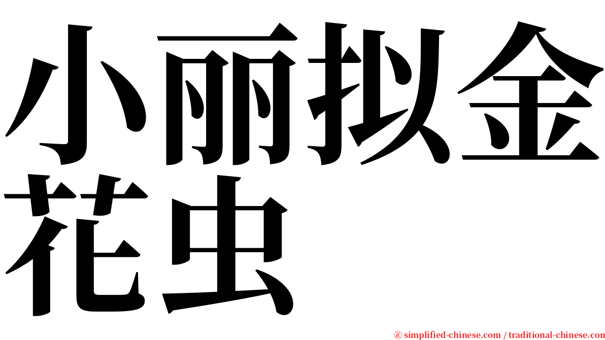 小丽拟金花虫 serif font
