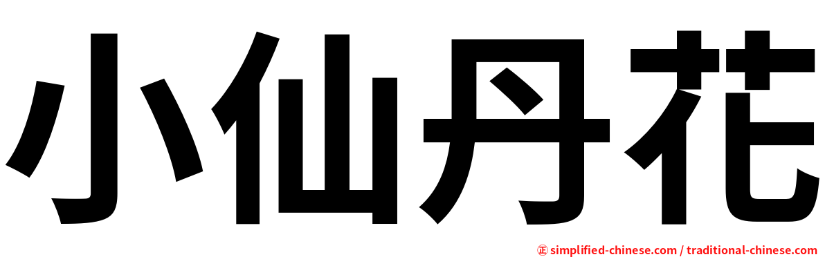 小仙丹花