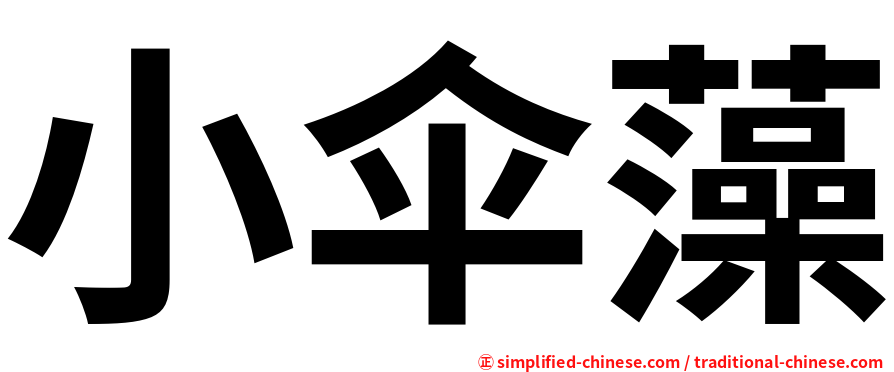 小伞藻
