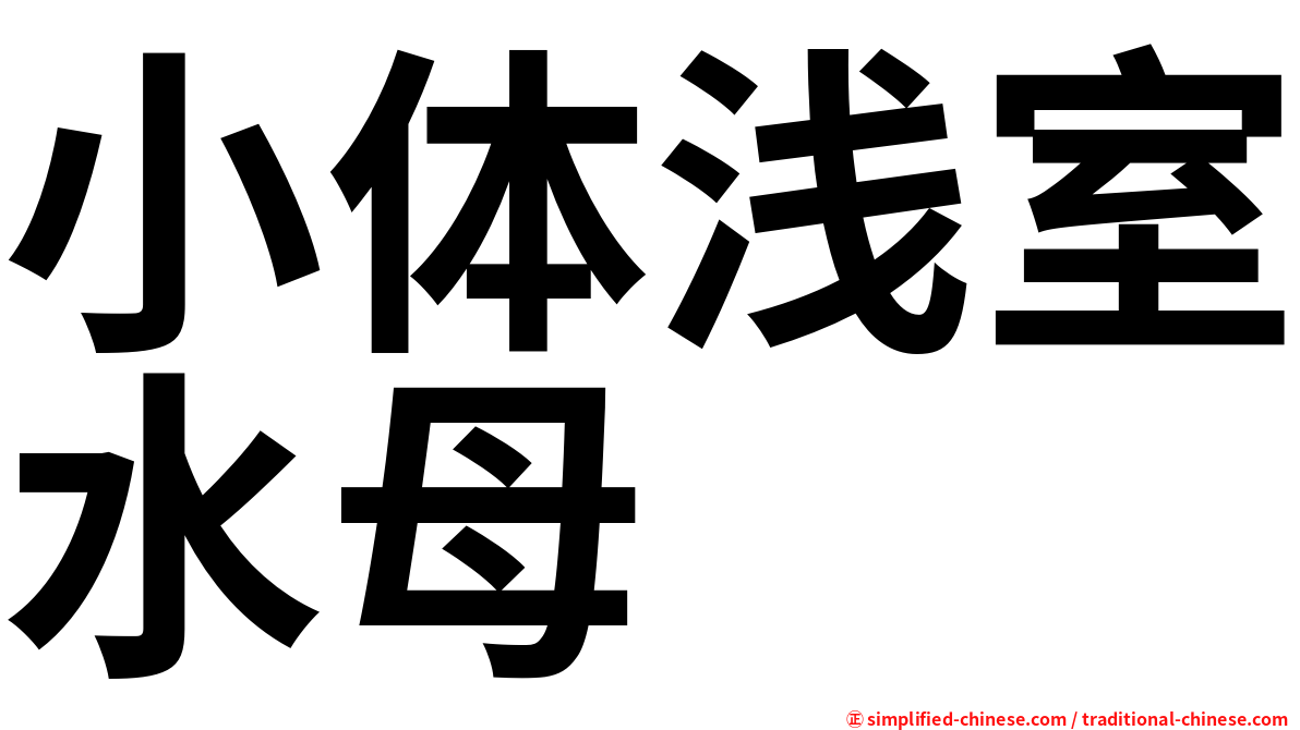 小体浅室水母
