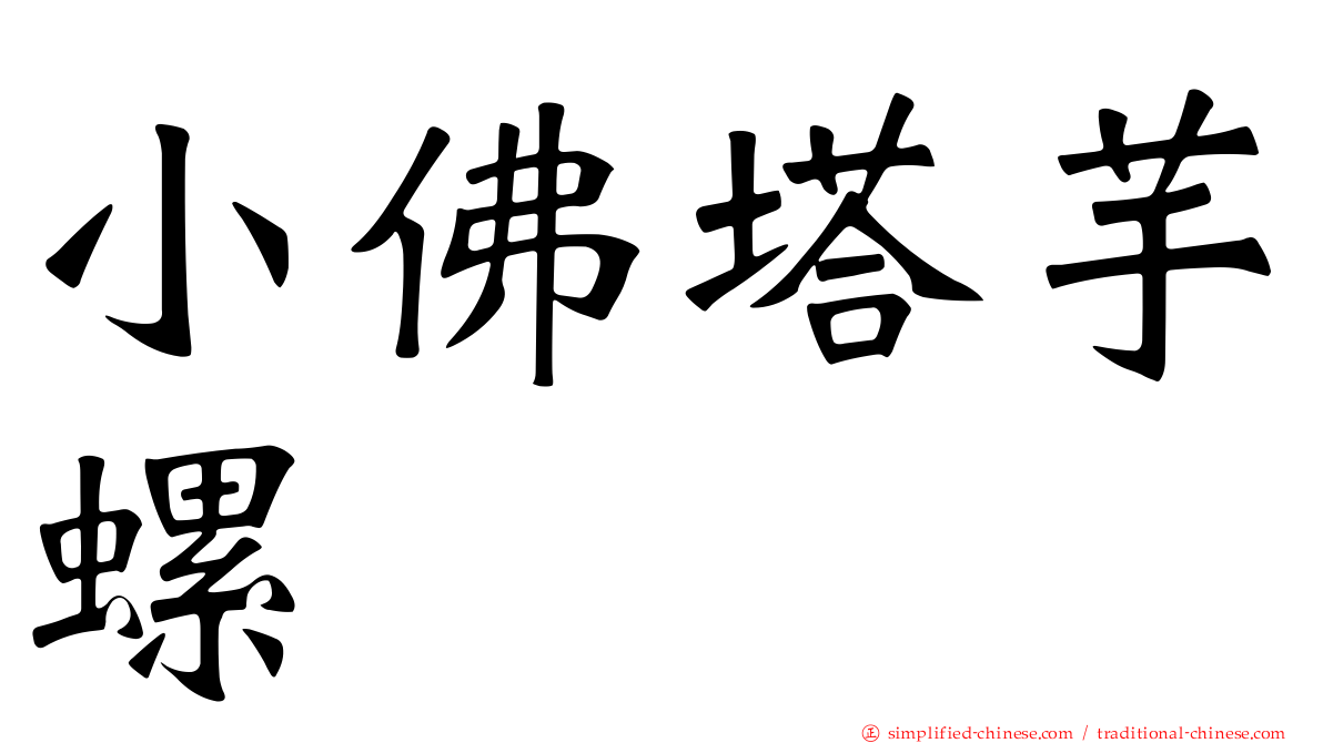 小佛塔芋螺