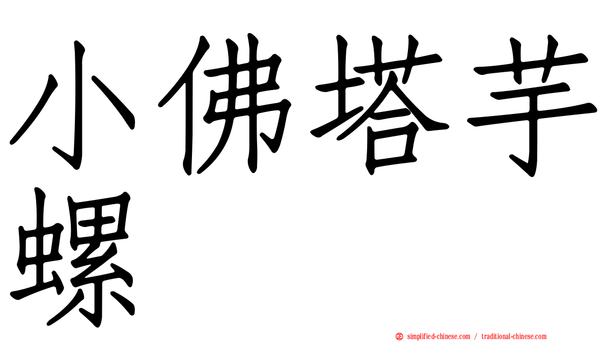小佛塔芋螺