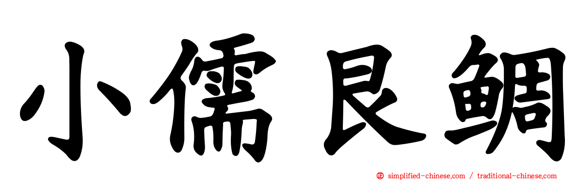 小儒艮鲷