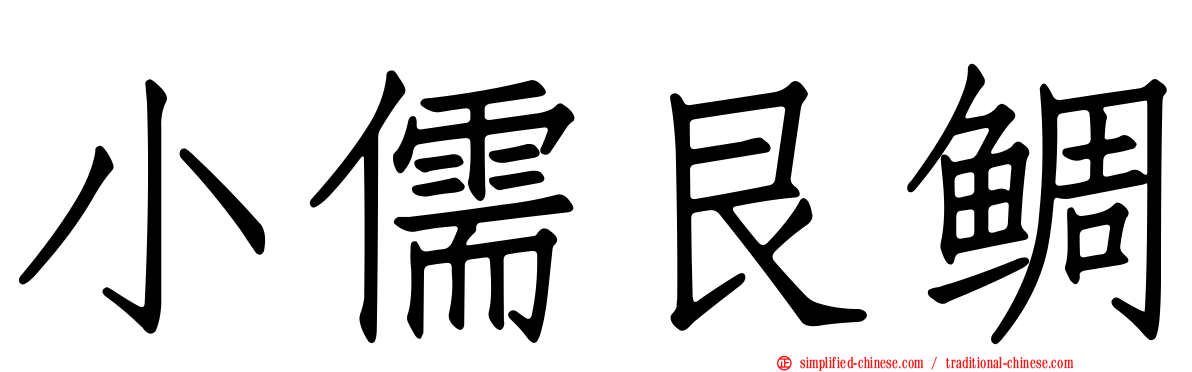 小儒艮鲷