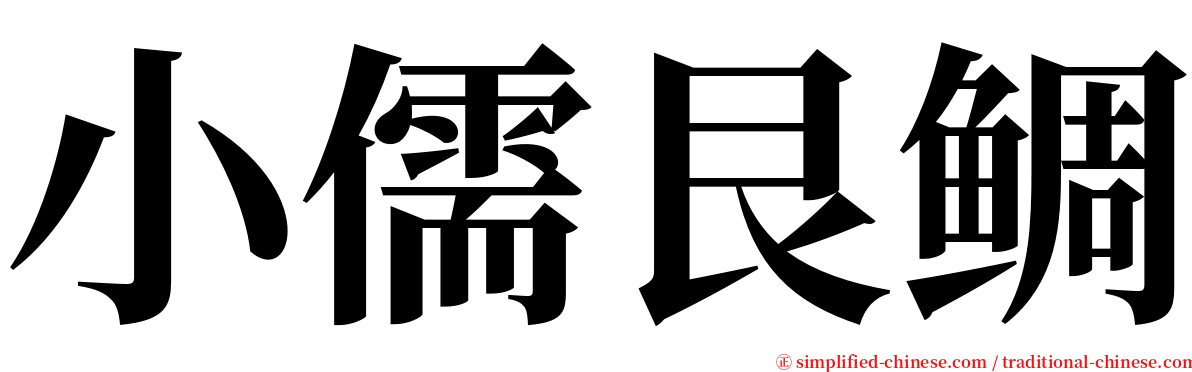 小儒艮鲷 serif font