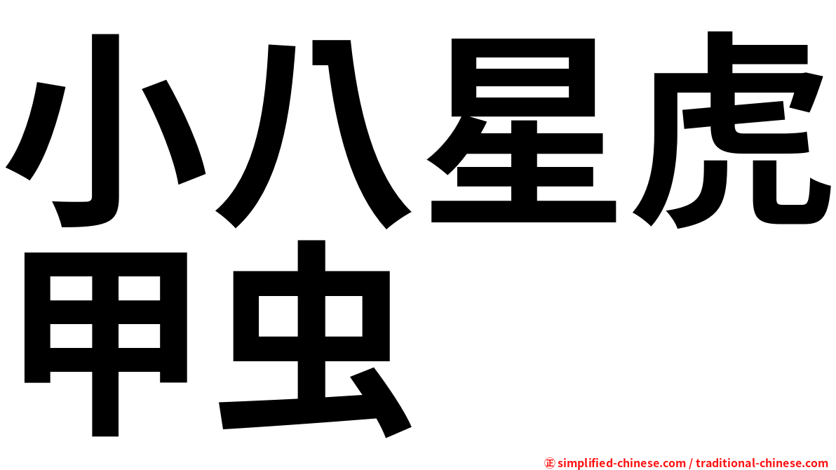 小八星虎甲虫