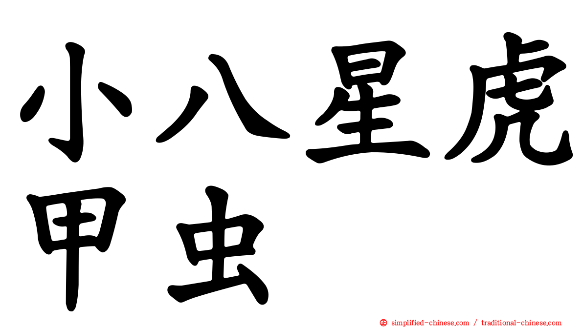 小八星虎甲虫