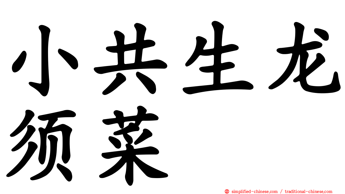 小共生龙须菜