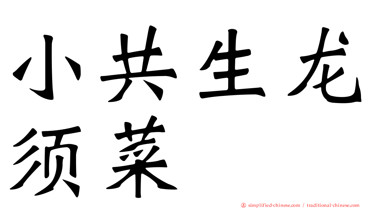 小共生龙须菜