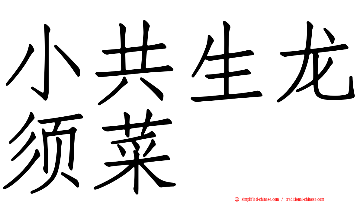 小共生龙须菜