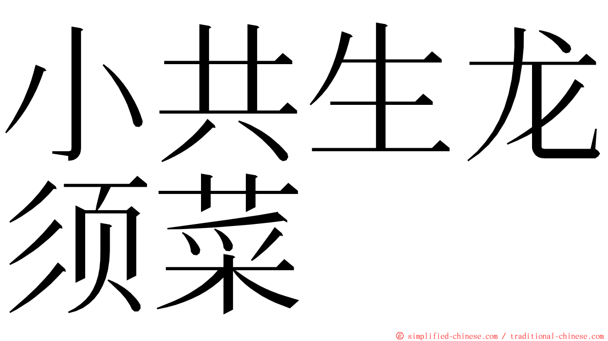 小共生龙须菜 ming font