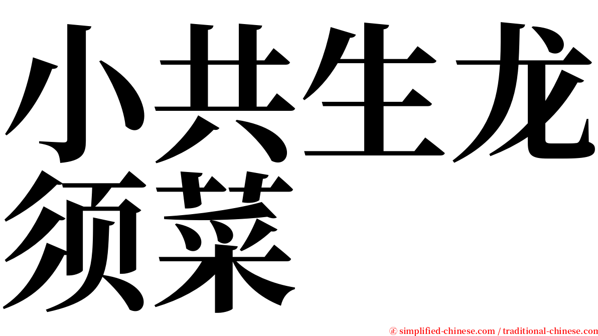 小共生龙须菜 serif font