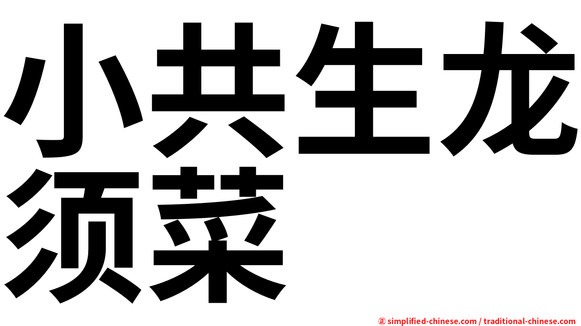 小共生龙须菜