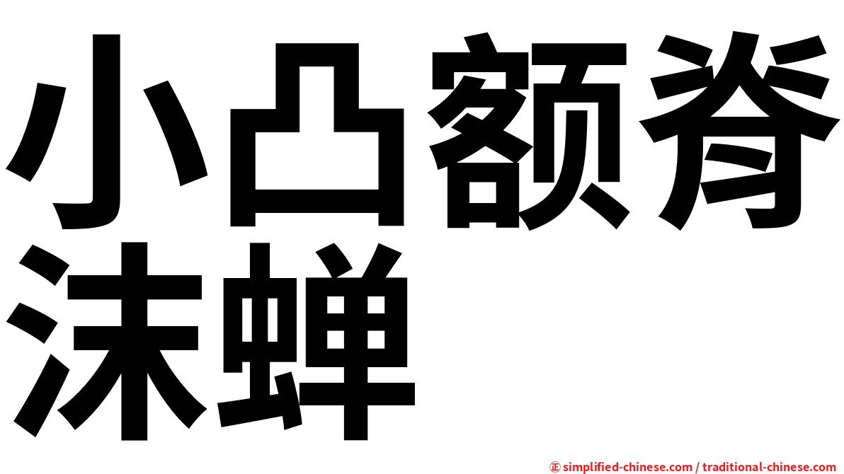 小凸额脊沫蝉