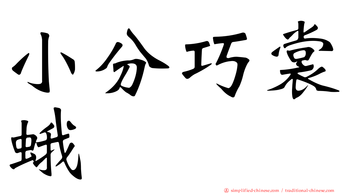 小分巧裳蛾