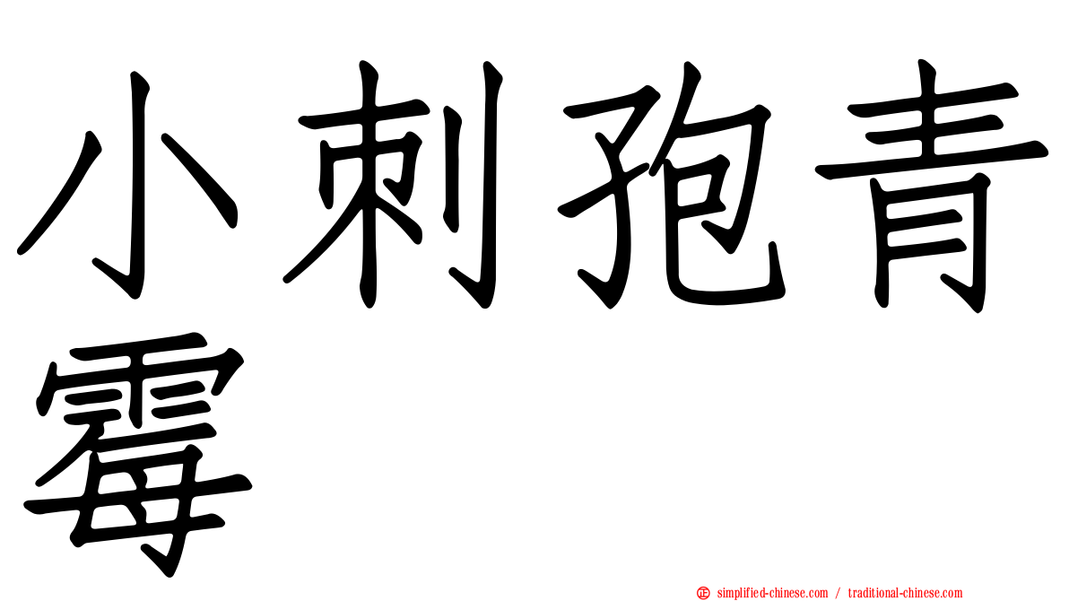 小刺孢青霉