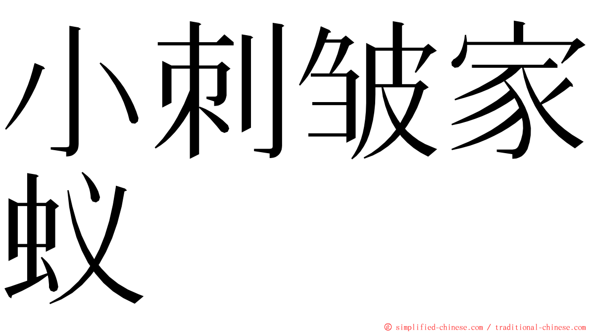 小刺皱家蚁 ming font