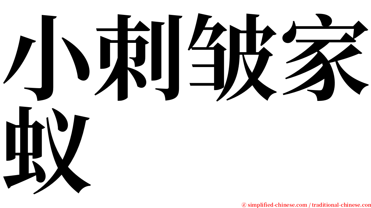 小刺皱家蚁 serif font