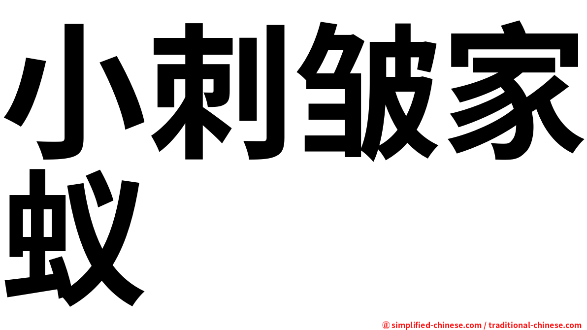 小刺皱家蚁