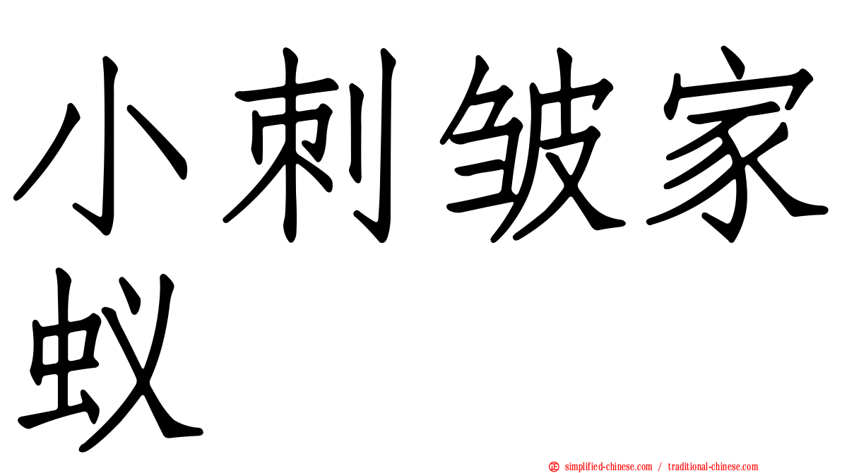 小刺皱家蚁