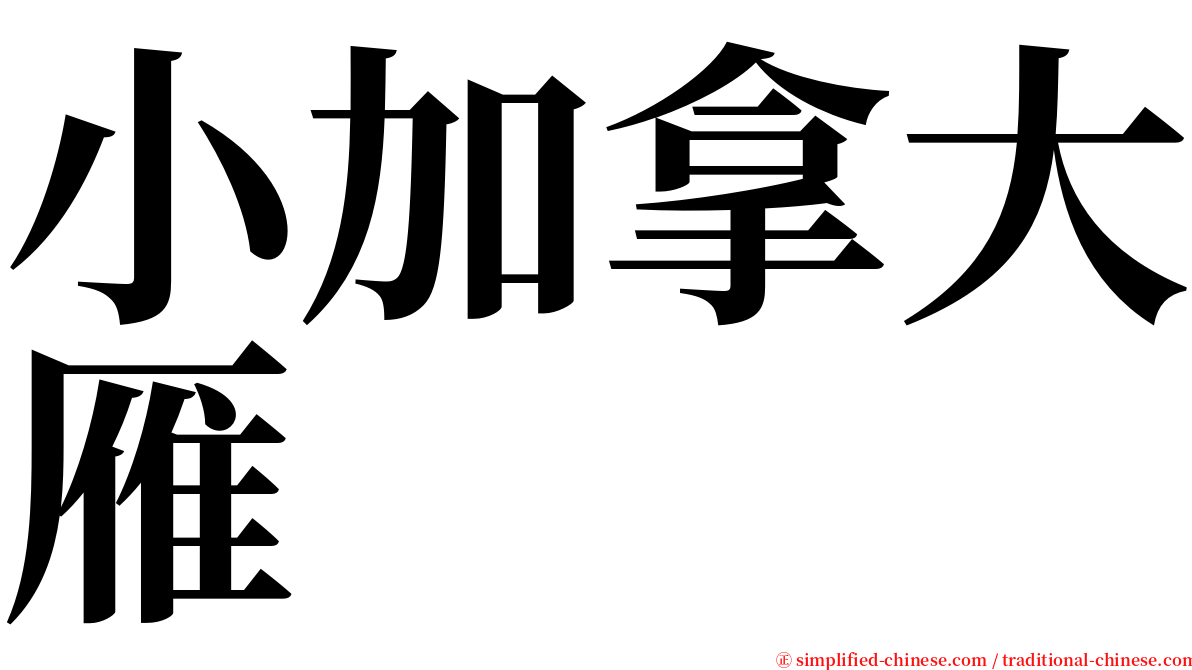 小加拿大雁 serif font