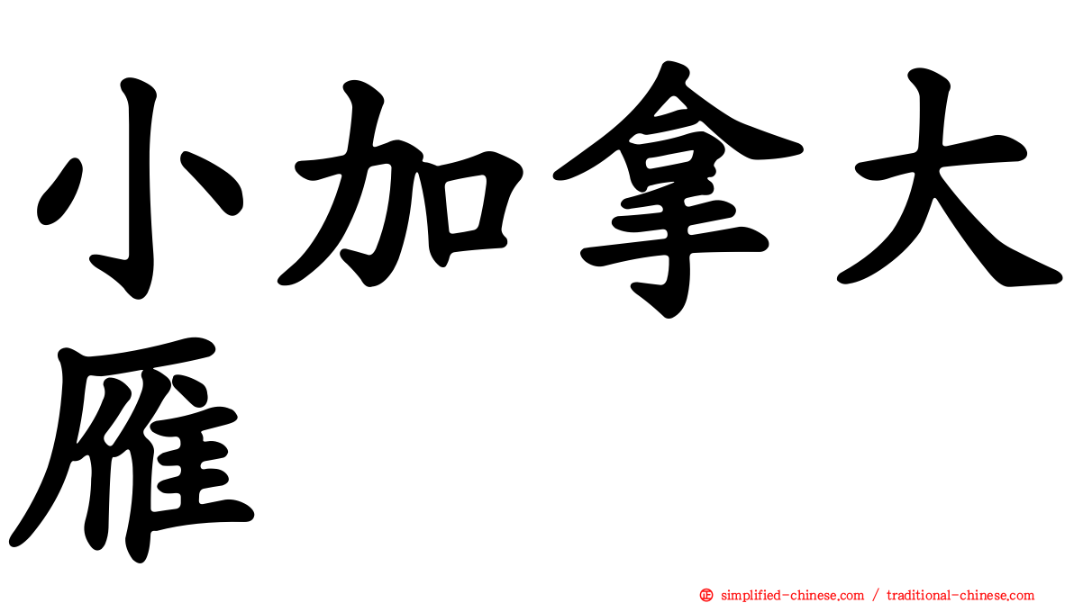 小加拿大雁