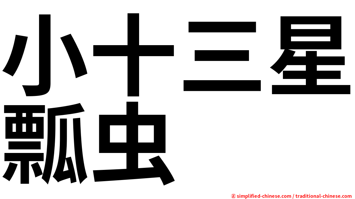 小十三星瓢虫