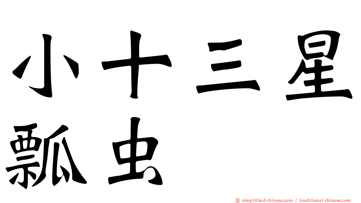 小十三星瓢虫