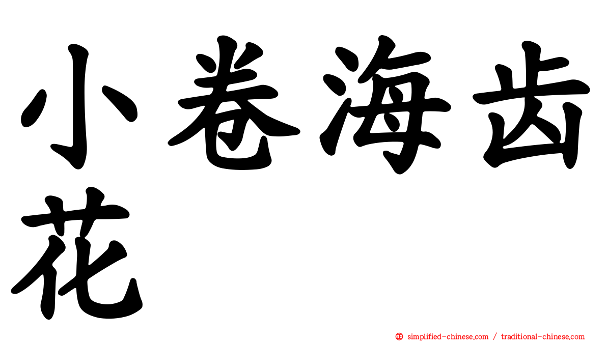 小卷海齿花