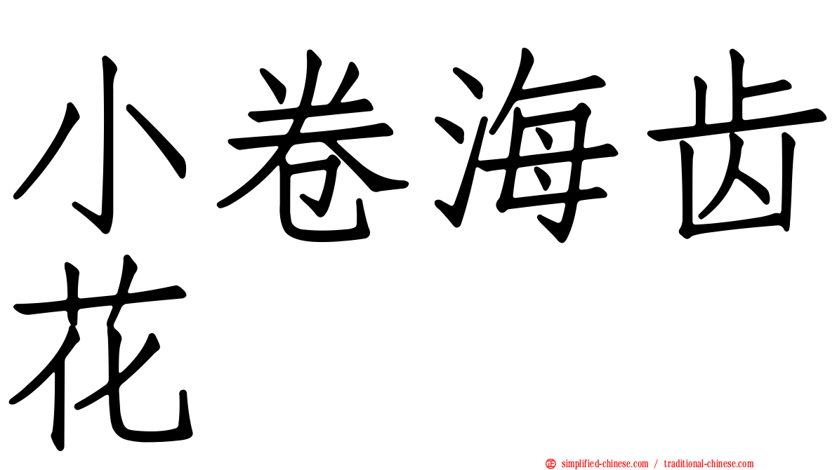 小卷海齿花