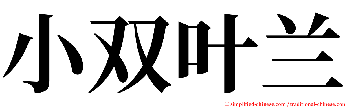 小双叶兰 serif font