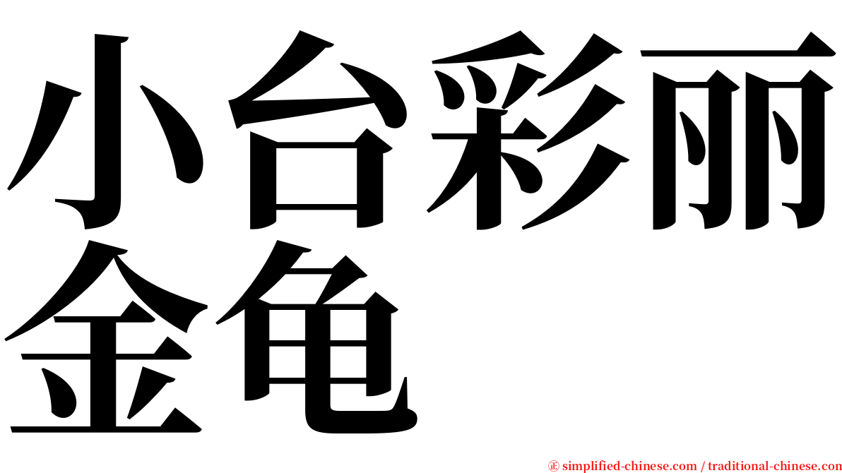 小台彩丽金龟 serif font