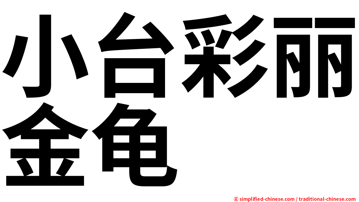 小台彩丽金龟