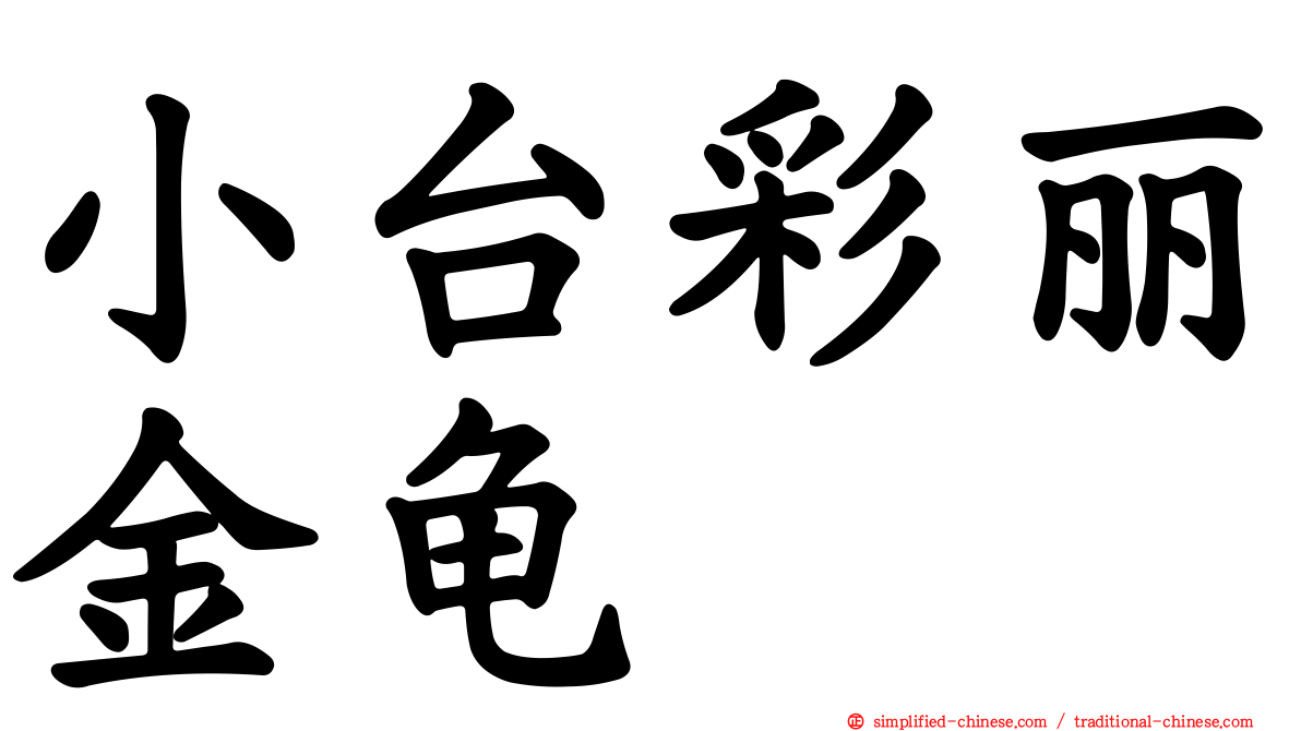 小台彩丽金龟