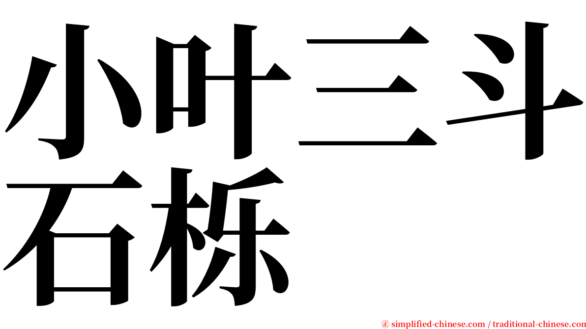 小叶三斗石栎 serif font