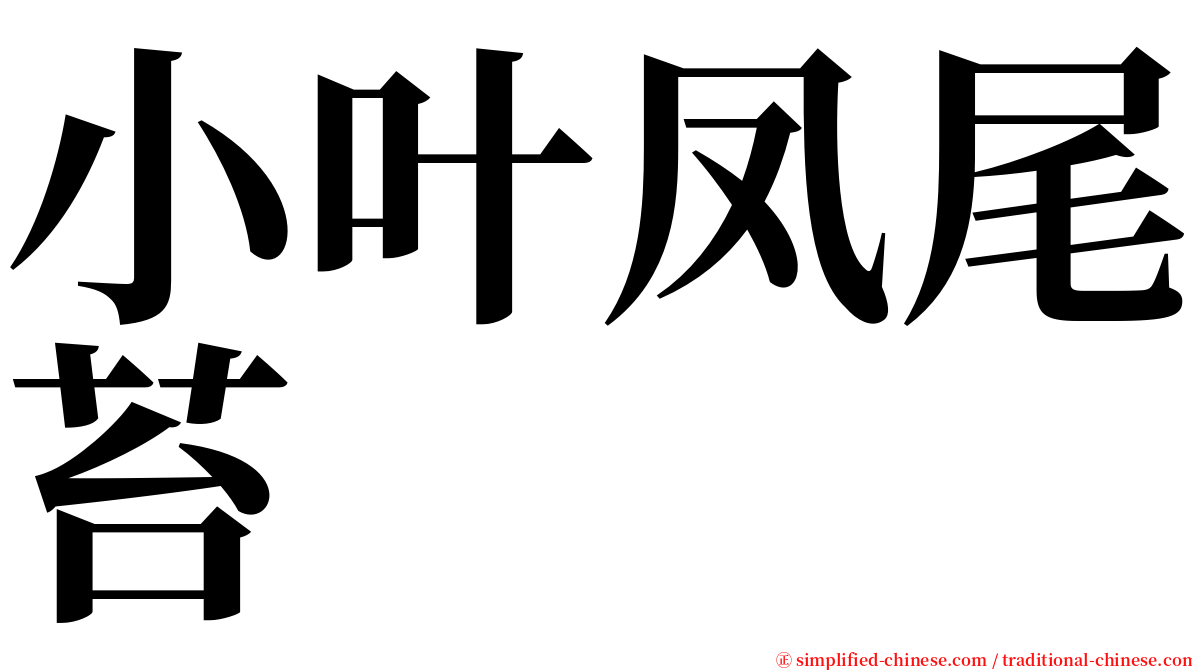 小叶凤尾苔 serif font