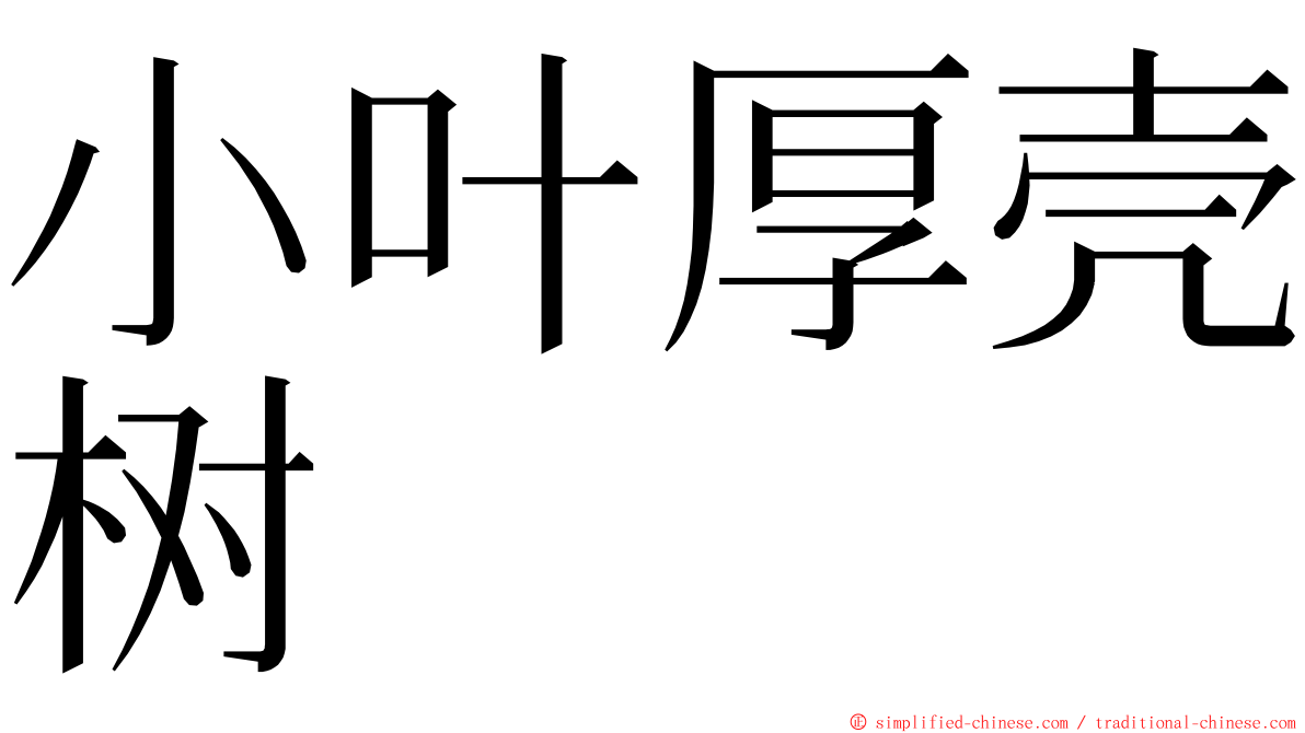 小叶厚壳树 ming font