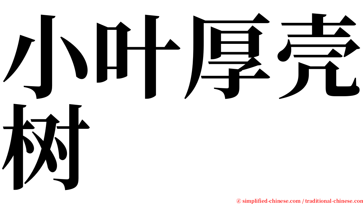 小叶厚壳树 serif font