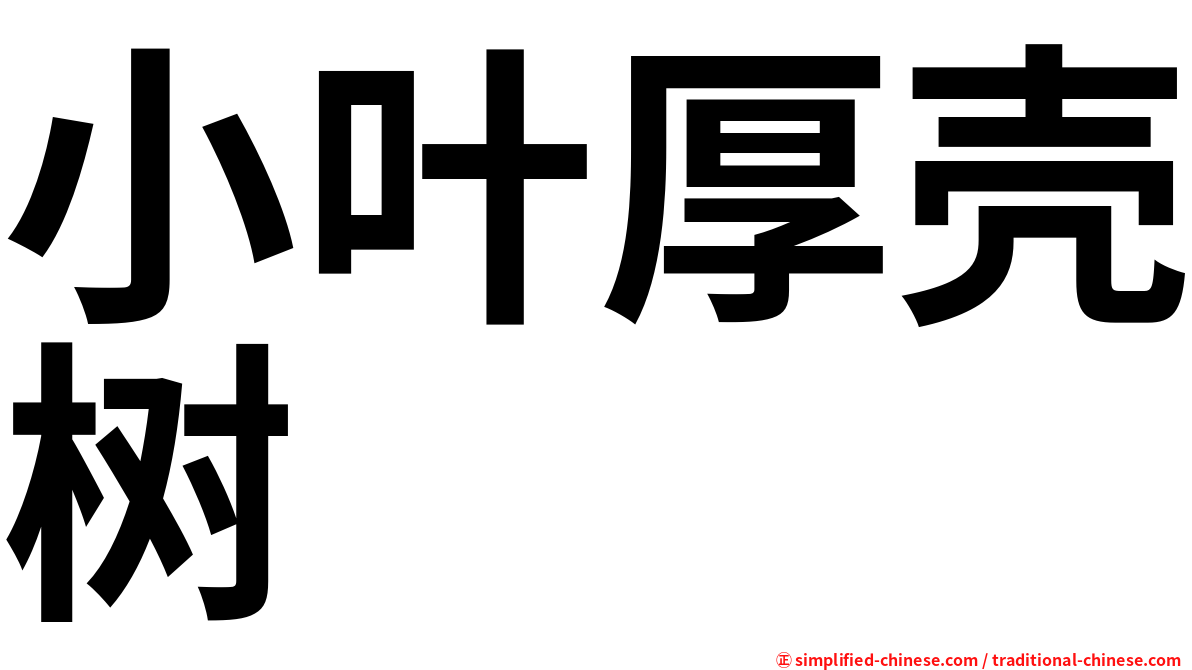 小叶厚壳树