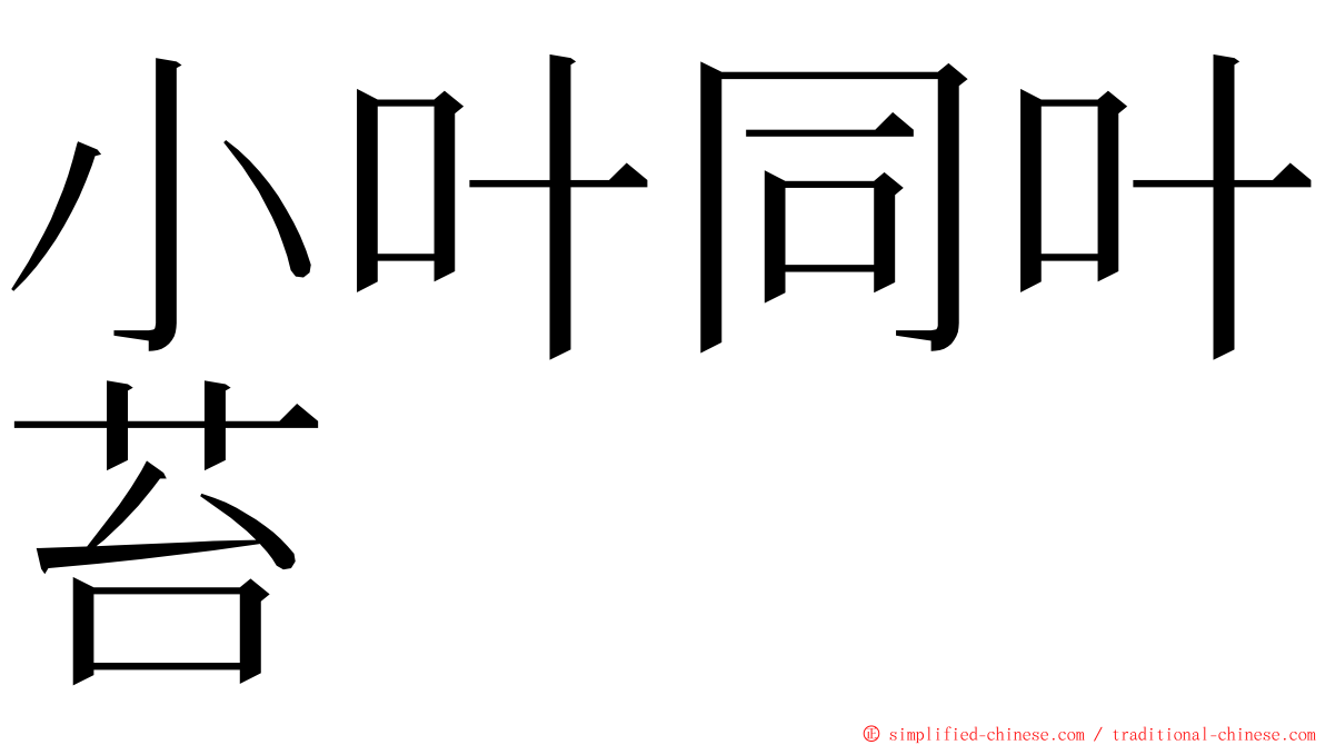 小叶同叶苔 ming font