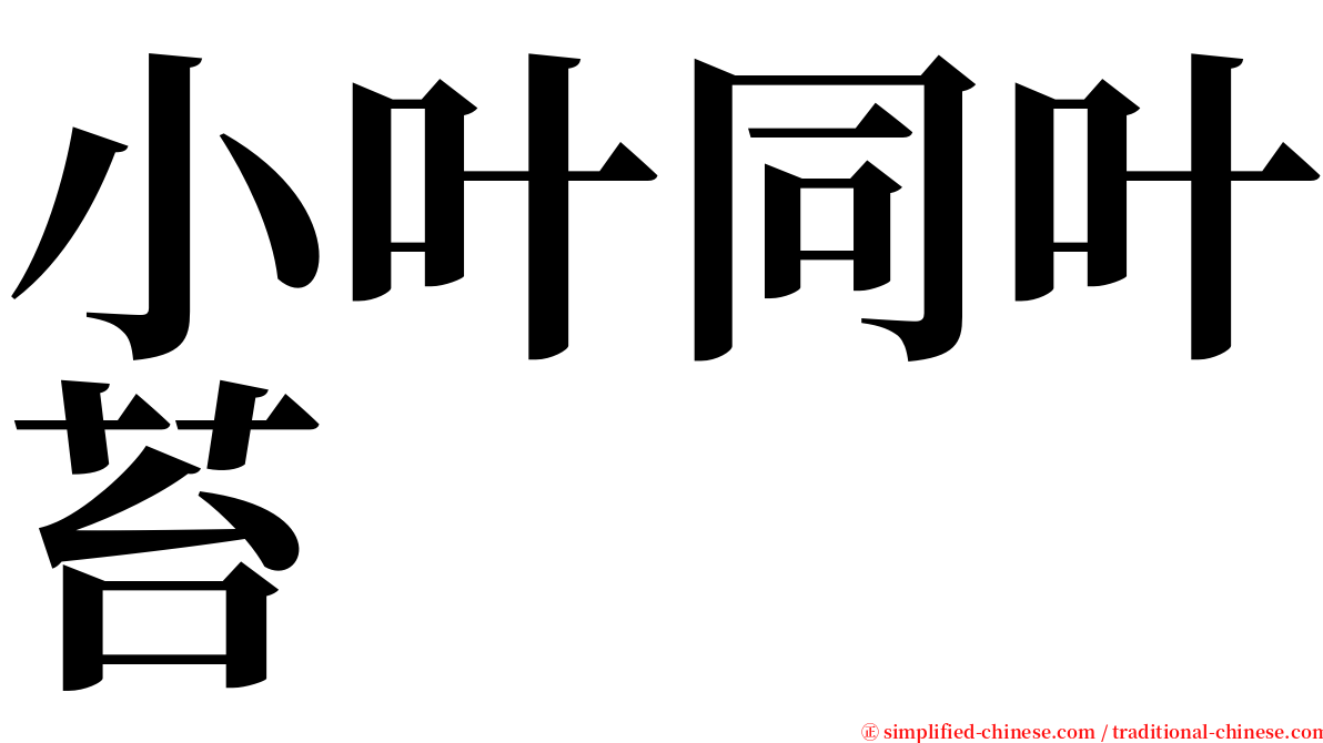 小叶同叶苔 serif font