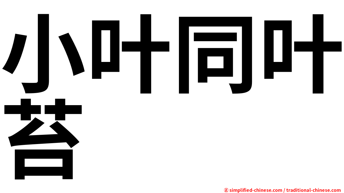 小叶同叶苔