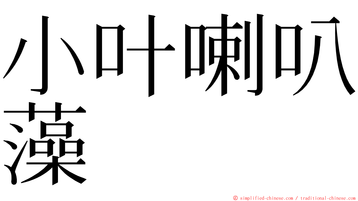 小叶喇叭藻 ming font